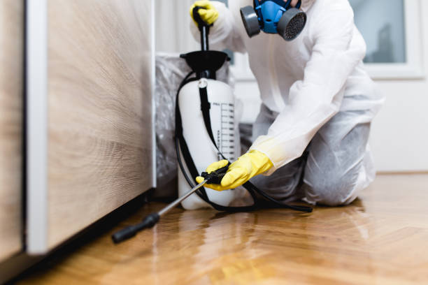 Best Local Pest Control Services  in Four Corners, MD