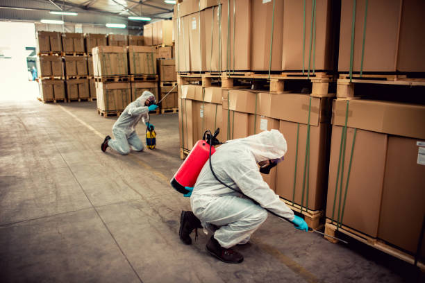 Pest Prevention Services in Four Corners, MD