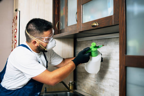Reliable Four Corners, MD Pest Control Solutions