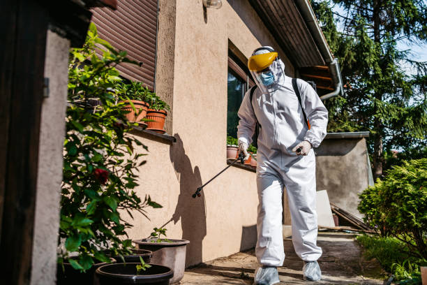 Best Pest Removal Services  in Four Corners, MD