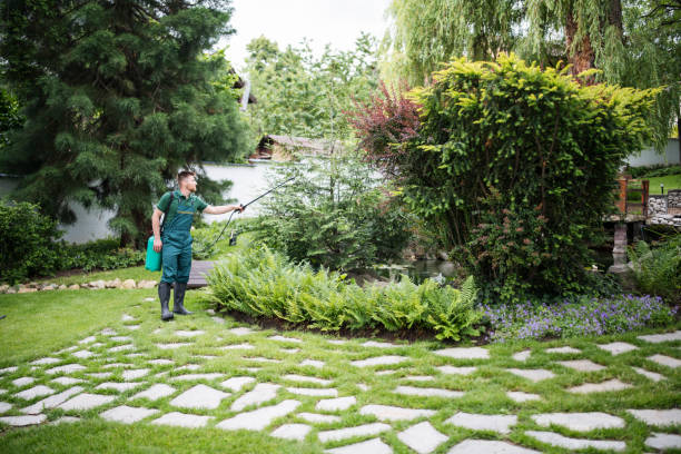 Best Mosquito Control Services  in Four Corners, MD