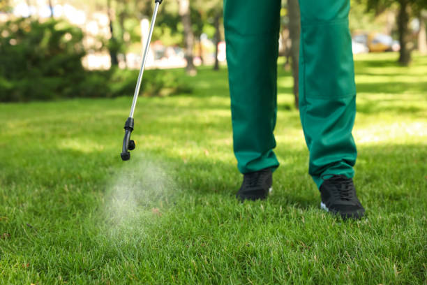 Best Residential Pest Control  in Four Corners, MD