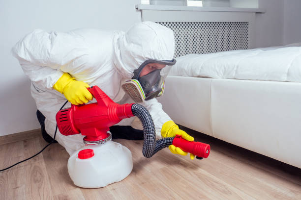 Best Termite Control Services  in Four Corners, MD