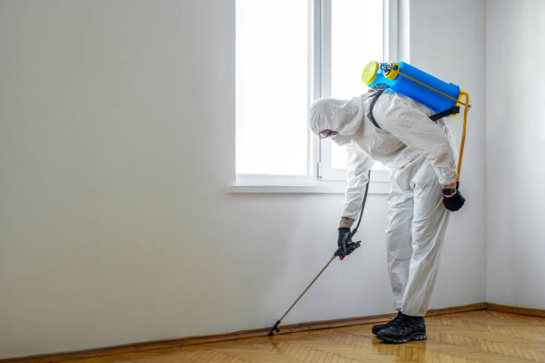 Best Wildlife Control Services  in Four Corners, MD