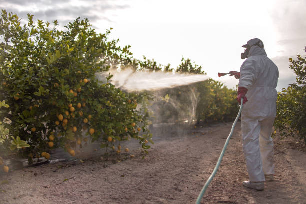 Best Pest Control for Businesses  in Four Corners, MD