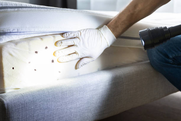Best Pest Prevention Services  in Four Corners, MD