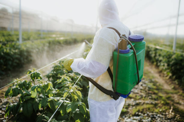 Best Flea Control Services  in Four Corners, MD